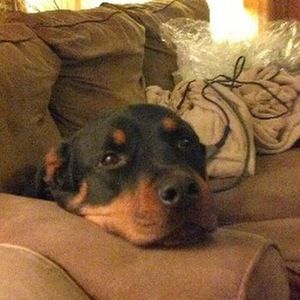 Meet your Posher, Christopher